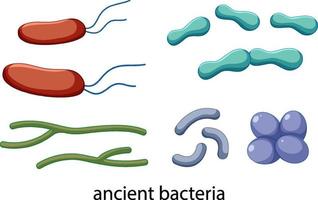 Conjunto de iconos de bacterias antiguas aislado sobre fondo blanco. vector