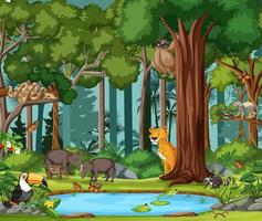 Rainforest scene with wild animals vector