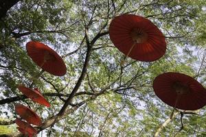 Handmade paper umbrellas hanging in a tree photo