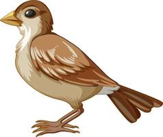 An adult bird on white background vector