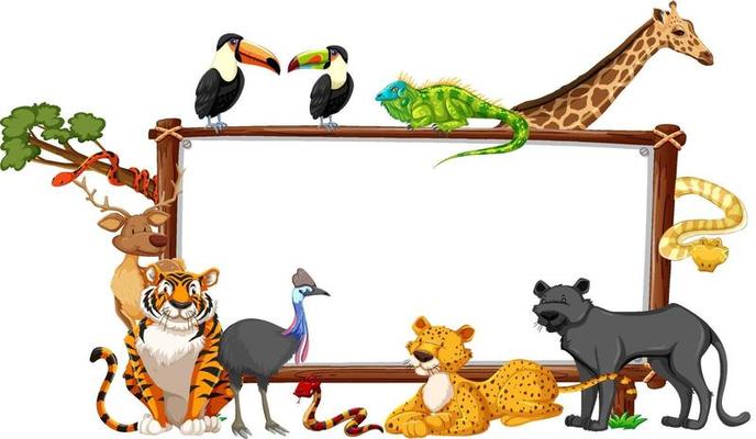 Empty banner with wild animals on white background