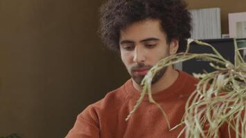 Laptop on table in front of young Middle Eastern man, tilt up, head of man, eyes on laptop, tilt down, laptop on table, plant in front on the right video