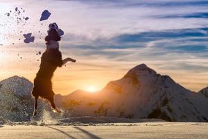 border collie salta en la nieve foto