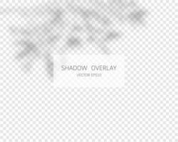 Shadow overlay effect. Natural shadows isolated vector