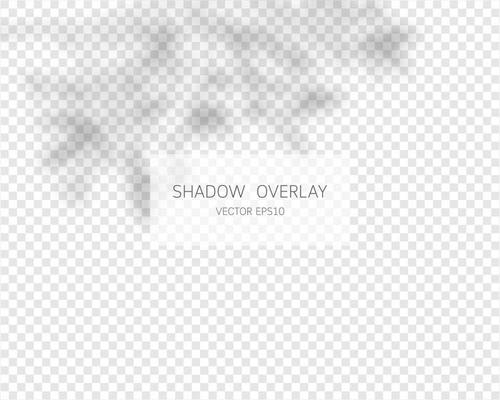 Shadow overlay effect. Natural shadows isolated