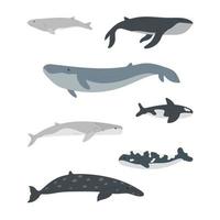 Set of cartoon Whales. Vector cartoon collection with different Whales. Flat vector illustration.