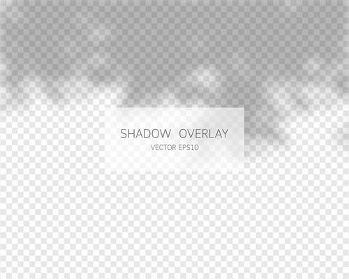 Shadow overlay effect. Natural shadows isolated