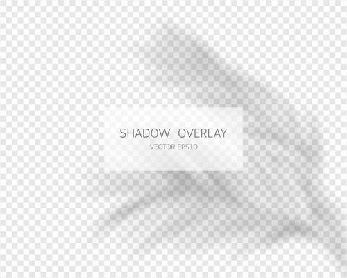 Shadow overlay effect. Natural shadows isolated