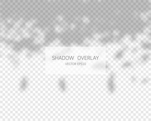 Shadow overlay effect. Natural shadows isolated