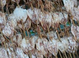 Close up of dried squids in Thailand photo