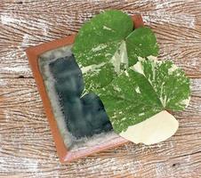 Top view of an empty ceramic plate with leaves on a wood table background photo