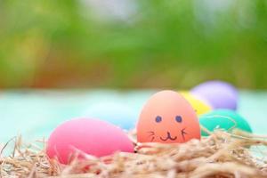 Easter eggs in a nest on a wooden background photo