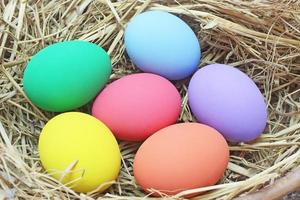 Easter eggs in a nest photo