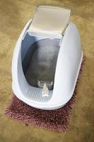 Cleaning cat litter box photo