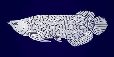 pez arowana plateado vector