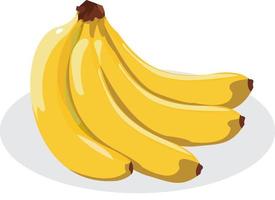 deliciosos plátanos sobre un fondo blanco. racimo de banano aislado. vector
