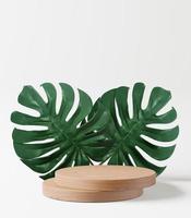 Podio cosmético de madera 3d para presentación de producto con planta monstera foto