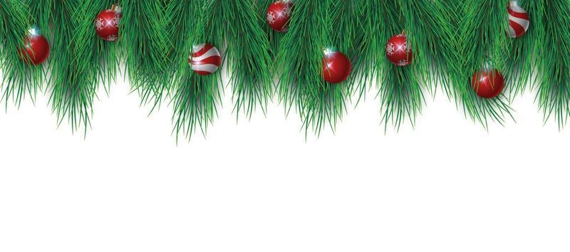Christmat tree branches and christmas balls isolated on white background, vector illustration