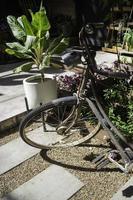 Bicycle in a garden photo