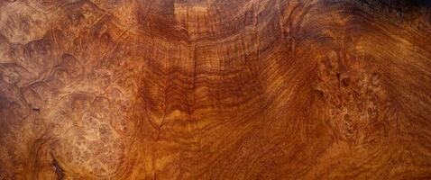 Fondo de textura de madera natural burl foto