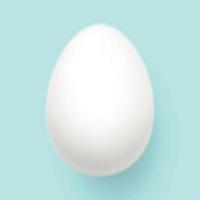 Big realistic white chicken egg with shadow on white background - Vector illustration