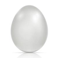 Big realistic white chicken egg with shadow on white background - Vector illustration