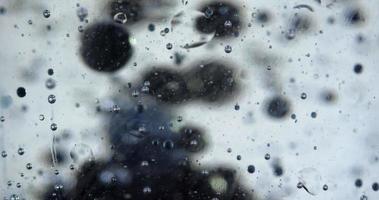 burbujas blancas y negras en el agua