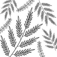 Leaf Pattern Vector