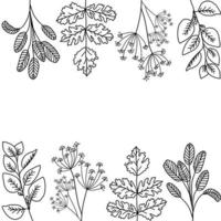 Leaf Outline Background vector