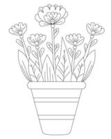 Spring flowers in a pot. Vector drawing. Black line, outline. White background. Decorative houseplant in a flowerpot for print, decor and design, print, decoration and cards