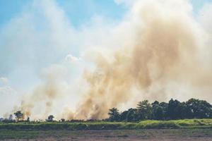 Fire burning in a paddy field photo