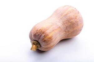 Fresh gourd on white photo