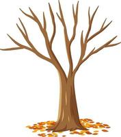 Árbol de otoño aislado sobre fondo blanco. vector