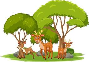 Isolated scene with many deers vector