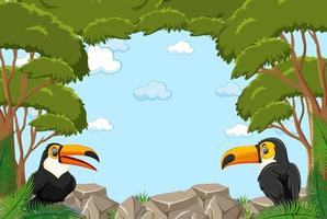 Empty banner with leaves frame and toucan cartoon character vector