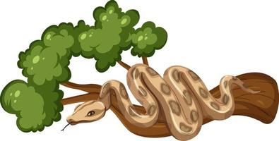 Serpiente en una rama aislada sobre fondo blanco. vector