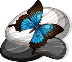 Top view of butterfly on a stone on white background vector