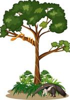 Snake on a tree with an anteater on white background vector