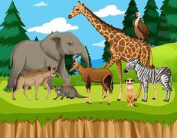 Group of wild african animal in the zoo scene vector