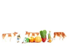 Miniature gardeners harvesting vegetables on a white background, agriculture concept photo