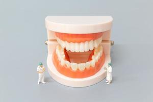 Dentista en miniatura que repara dientes humanos con encías y esmalte, concepto médico y de salud foto