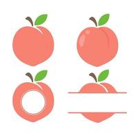 Peach vector. Flat peach design isolated on white background. vector