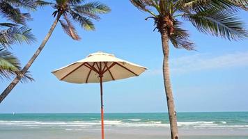Umbrella chair around sea beach with palm tree video