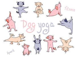 Yoga pets. Big colored set of dog yoga. cute Puppies athletes get up in an asana and meditate, do sports exercises and do exercises. Vector illustration. Isolated on white background