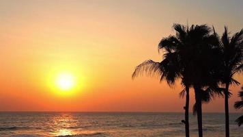 Sunset Time with Sea Ocean and Palm Tree video