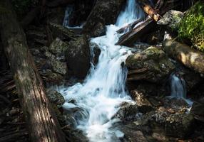 Stream in a forest photo