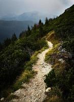 Hiking path on a mountain photo