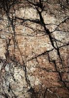 Cracked stone background photo