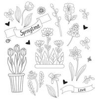 Spring time. Set of spring flowers - chamomile, daffodil, tulip, dandelion, violet and pussy willow and flowerpot. Vector. line, outline. decorative plants for print, design, decoration and postcards vector