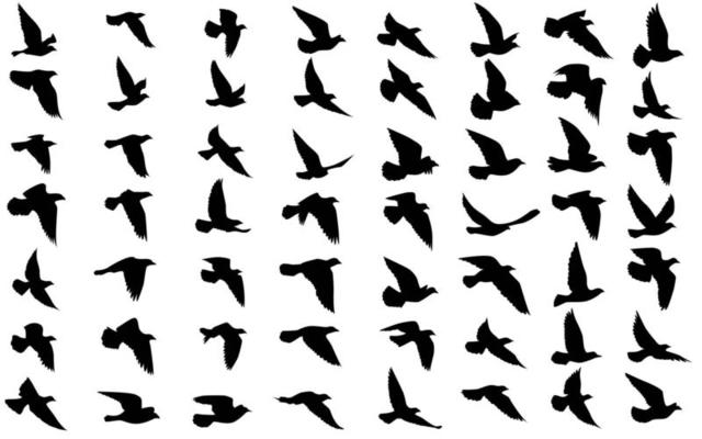 Flying birds silhouettes on isolated background. Vector illustration. isolated bird flying. tattoo and wallpaper background design. sky and cloud with fly bird. color shade palette.